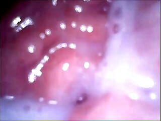 web cam in mouth vagina and ass