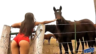 The Hot Foetus Horse Whisperer - Remarkable Company Latina! 10  Ass!